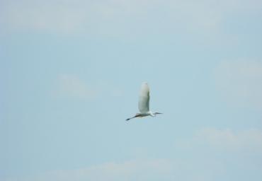 DSCN0284